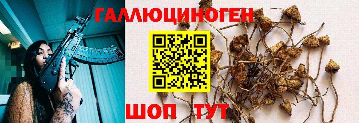 Псилоцибиновые грибы мухоморы  Вход с VPN  наркотики  Азнакаево 